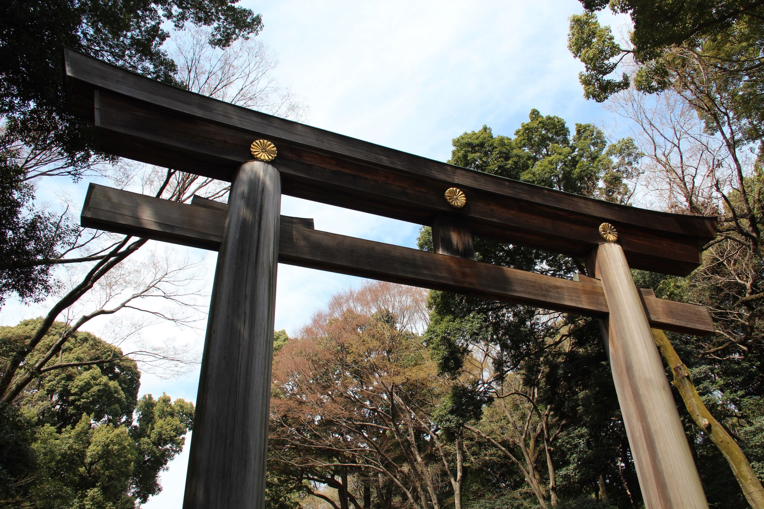 JP TORI GATE 02 - TRAVEL Photography by Nalani Mason