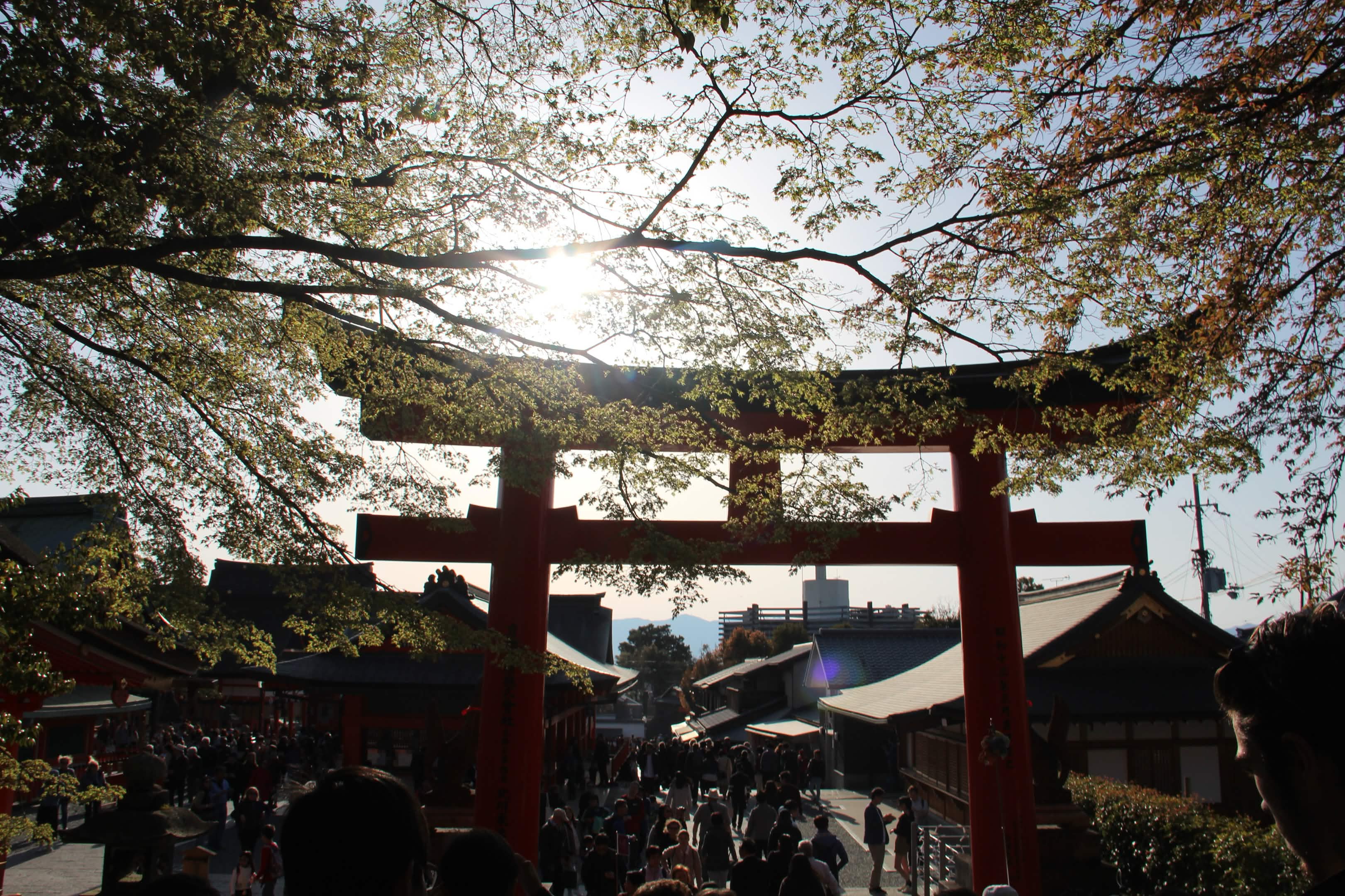 JP TORI GATE 03 - TRAVEL Photography by Nalani Mason